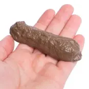 Bajskorv Skämtartikel