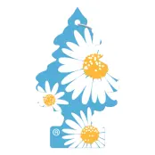 Wunderbaum Doftgran - Daisy Flower