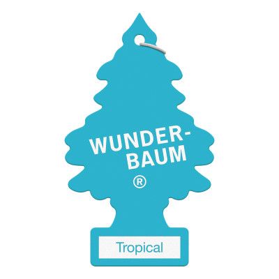 Wunderbaum Doftgran - Tropical