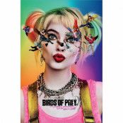 Birds Of Prey, Maxi Poster - Seeing Stars
