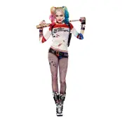 Suicide Squad Harley Quinn Kartongvägg