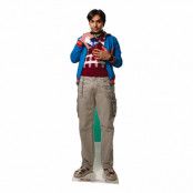 The Big Bang Theory Raj Koothrappali Kartongfigur