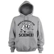 What A Fine Day For Science Hoodie