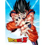 Dragon Ball - Glass Print - Goku Kame - 30X40 Cm