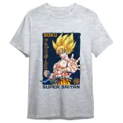 Dragon Ball Goku Super Saiyan adult t-shirt