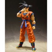 Dragon Ball Son Goku Saiyan Raised on Earth figure 14cm