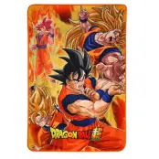Dragon Ball Super Battle of Gods Goku States blanket