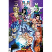 Dragon Ball Super - Poster 91X61 - Univers 7