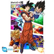 Dragon Ball SUPER Poster Maxi 91.5x61 Panels