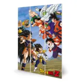 Dragon Ball Z - Battle Clash - Wood Print 20X29.5Cm