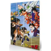 Dragon Ball Z - Battle Clash - Wood Print 40X59Cm