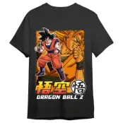 Dragon Ball Z Goku & Goku Super Saiyan adult t-shirt