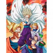 Dragon Ball Z Heroes vs Cell glass poster