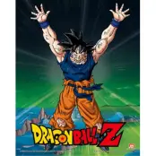 Dragon Ball Z - Power Level Increased - 3D Lenticular Poster 25x20cm