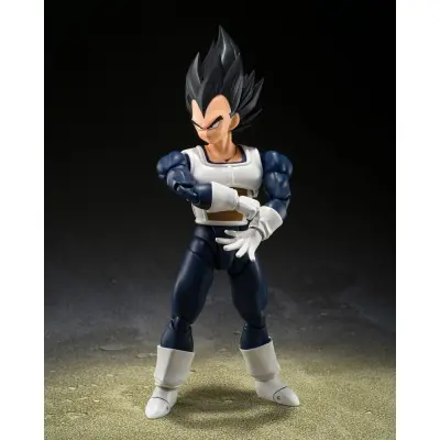 Dragon Ball Z - Vegeta Old Battle Clothes