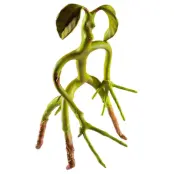 Fantastic Beasts Bowtruckle figure 18cm