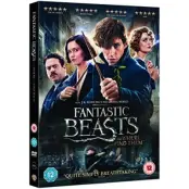 Fantastic Beasts & Where to Find Them