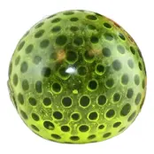 Squeeze Ball Neon Beans