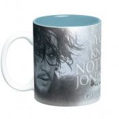 Game Of Thrones Mugg You Know Nothing
