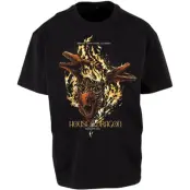 Game Of Thrones T-shirt - House Of The Dragon - Dreams Didn't Make Us Kings - M 3XL - för  svart