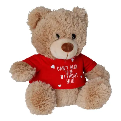 Nalle med T-Shirt - 20 cm