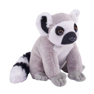 Pocketkins Eco Ringsvanslemur - Wild Republic -  Leksaksaffären