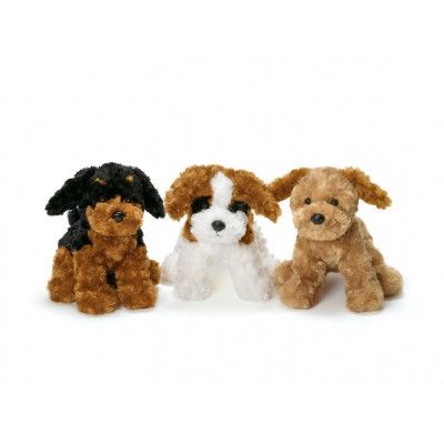 Teddy Dogs : Färg - MultiColor