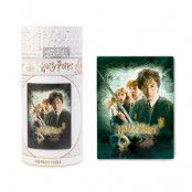 Harry Potter and the Chamber of Secrets puzzle 500pcs