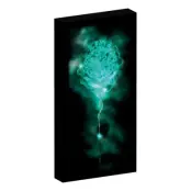 Harry Potter - Canvas With 6 Led Light 20X3X40Cm