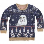 Harry Potter Christmas jumper - Barn - Hedwig - 110/116 158/164 - för barn - flerfärgad