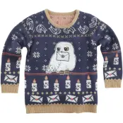 Harry Potter Christmas jumper - Barn - Hedwig - 110/116 158/164 - för barn - flerfärgad