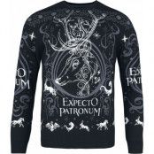 Harry Potter Christmas jumper - Expecto Patronum - S XXL - för Herr - flerfärgad