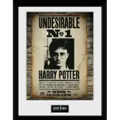 Harry Potter - Collector Print 30X40 - Undesirable No1