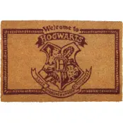 Harry Potter Dörrmatta - Welcome To Hogwarts - för flerfärgad