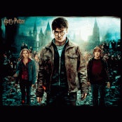 Harry Potter Harry Hermione and Ron Prime 3D puzzle 500pcs