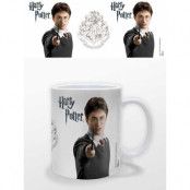 Harry Potter - Harry Potter Mug