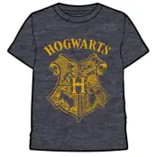 Harry Potter Hogwarts adult t-shirt