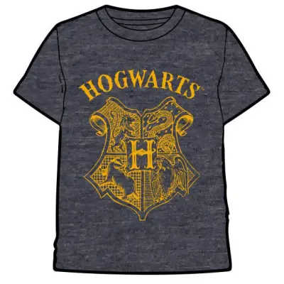 Harry Potter Hogwarts adult t-shirt