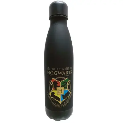 Harry Potter Hogwarts aluminium bottle