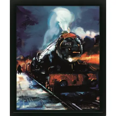Harry Potter - Hogwarts Express - 3D Lenticular Poster 29x24x4cm