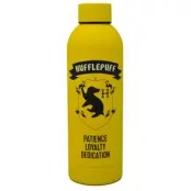 Harry Potter Hufflepuff stainless steel bottle 700ml