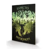 Harry Potter - Impression Sur Bois 40X59 - Expecto Patronum