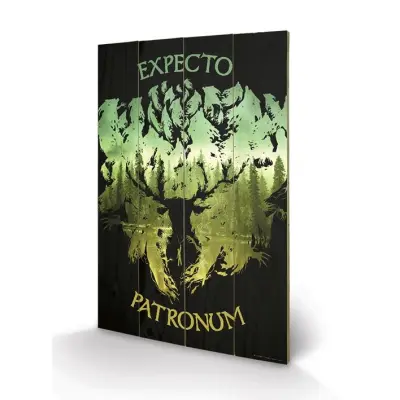 Harry Potter - Impression Sur Bois 40X59 - Expecto Patronum