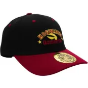 Harry Potter Keps - Quidditch - för flerfärgad