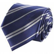 Harry Potter - Ravenclaw Tie & Metal Pin