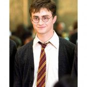 Licensierad Harry Potter Gryffindor/Griffing Tie