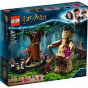 LEGO Harry Potter Den förbjudna skogen: Umbridges möte 75967