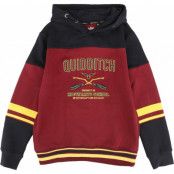 Harry Potter Luvtröja - Barn - Gryffindor - Hogwarts School - 164 - för barn - flerfärgad