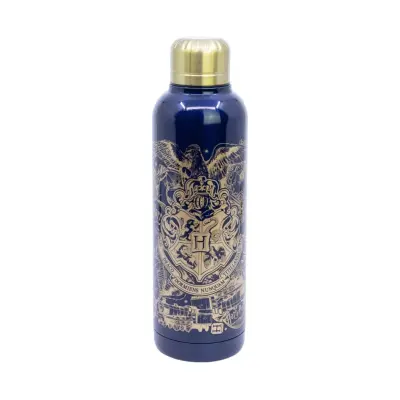 Harry Potter - Magic & Mayhem Insulated Stainless Steel Bottle (515ml)