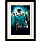 Harry Potter - Mounted & Framed 30X40 Print - Order Of The Phoenix